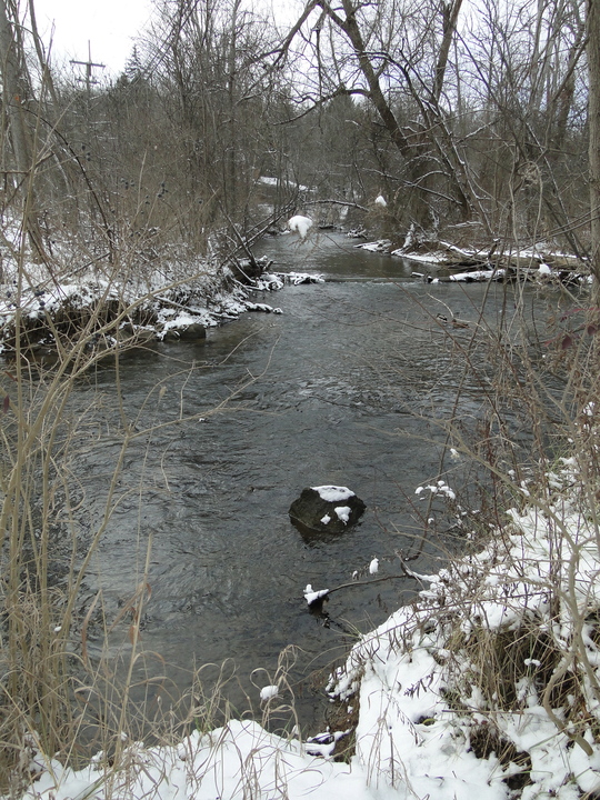snowy-river