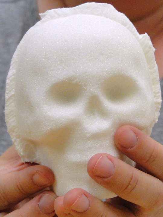 undecorated skull