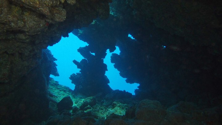 lanai cathedrals