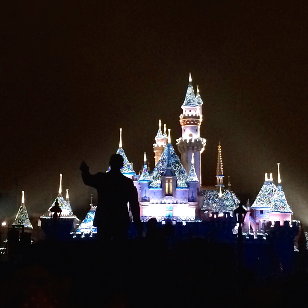 christmas castle at night disneyland