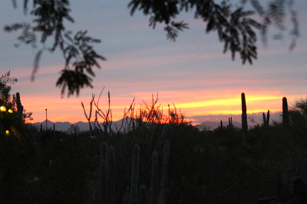 phoenix sunset