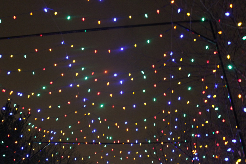 wild lights