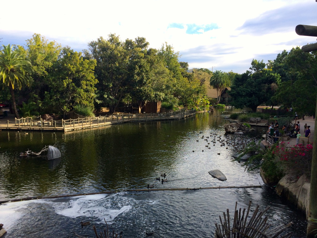 san diego zoo safari park