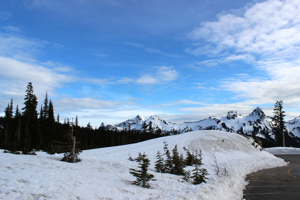 snow on mt rainier