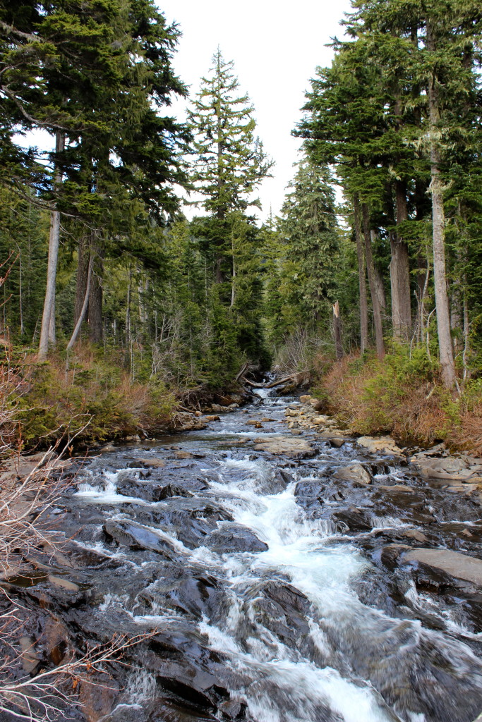 rushing water