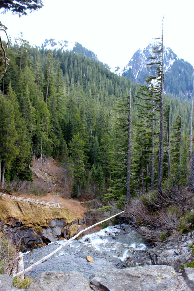 mt rainier waterfall