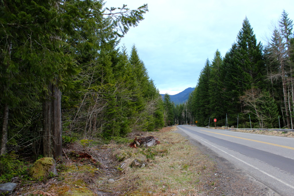 mt rainier road