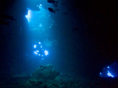 lanai cathedral