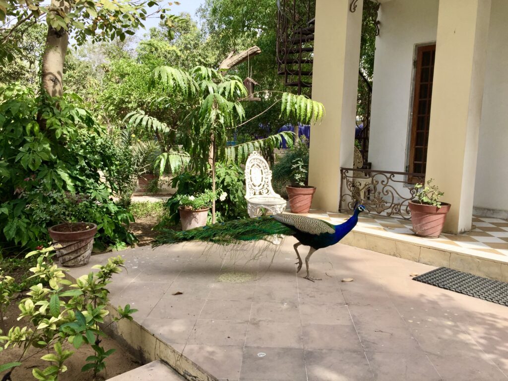 Bar Palladio Jaipur India